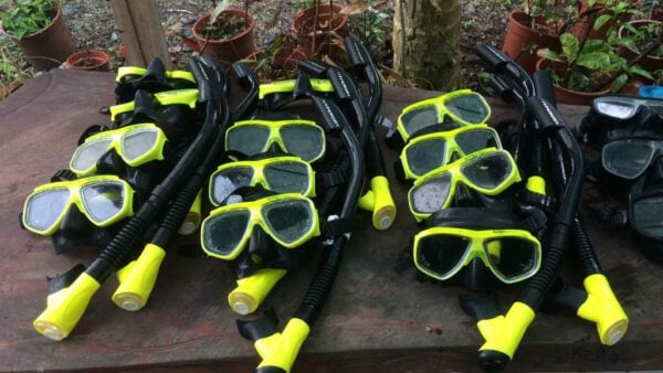 Costa Rica Snorkeling | #1 Cahuita Snorkeling en Arrecife Protegido - Imagen 14