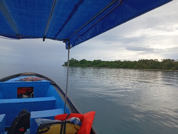 Cahuita Fishing Tours | Trolley Fishing with Local Fishermen - Image 8